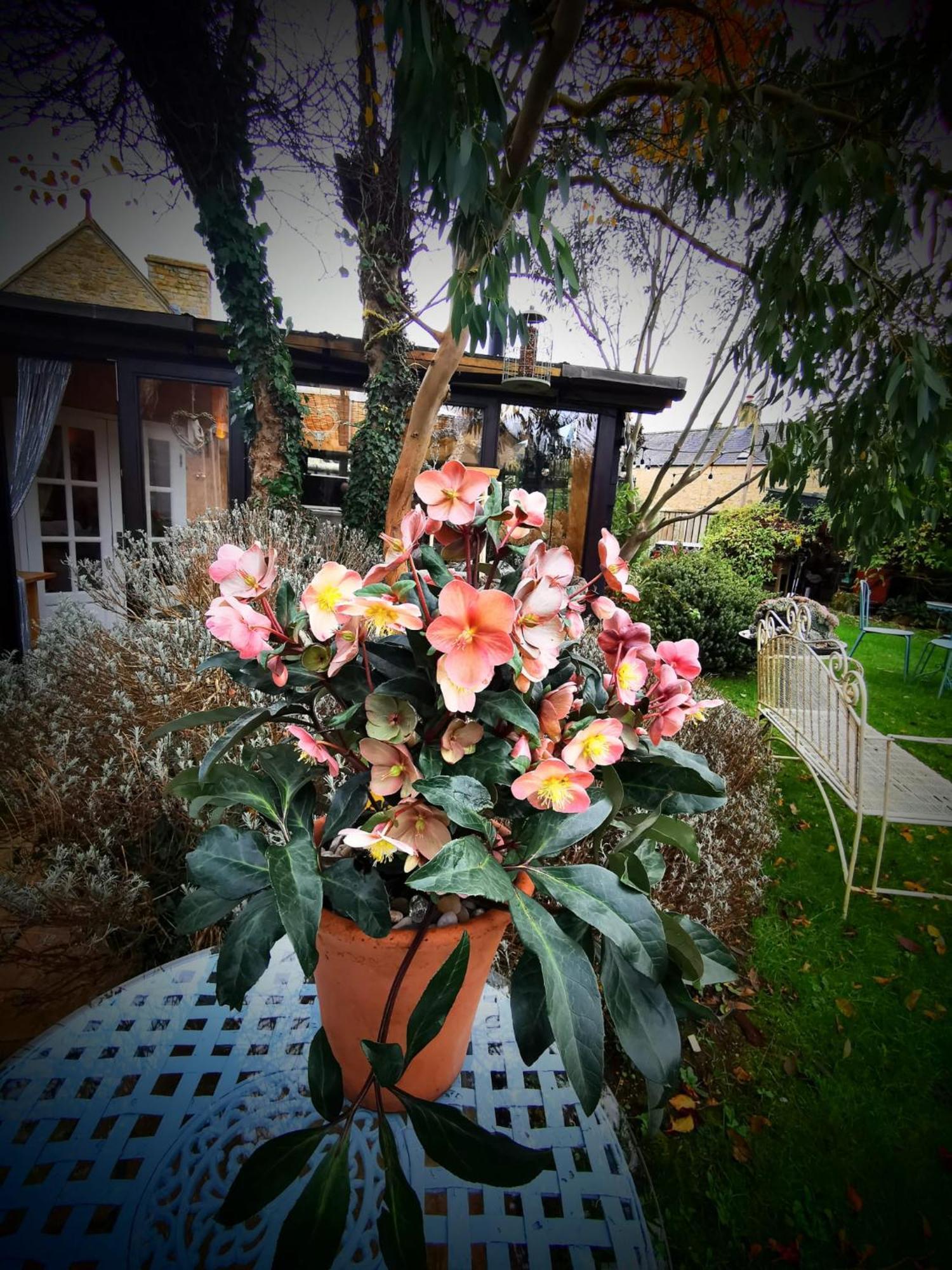Cotswold Garden Chalet In Stow-On-The-Wold Εξωτερικό φωτογραφία